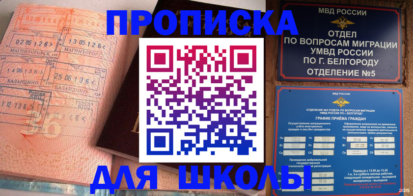 прописка иностранных граждан в Борзе